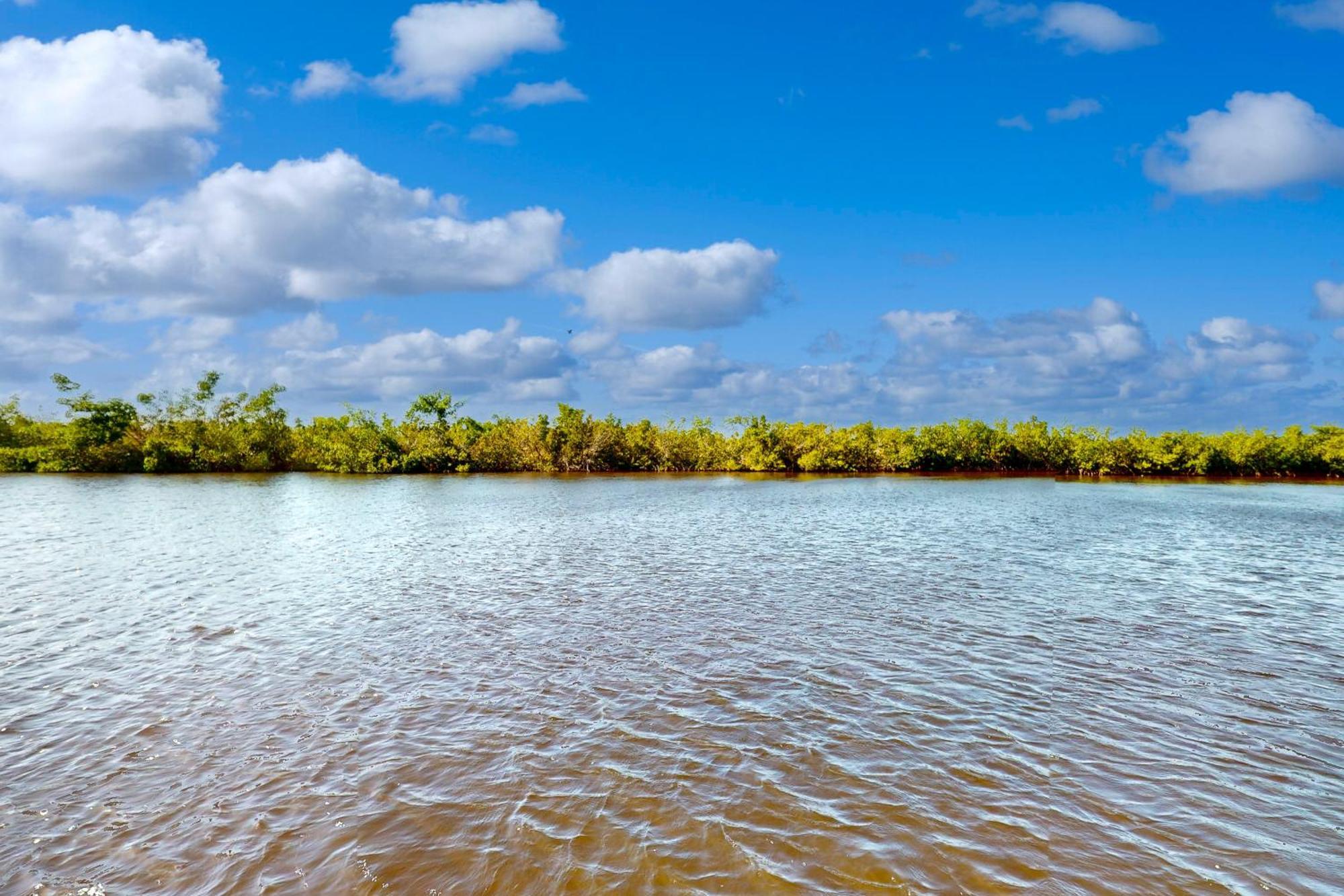 Personal Paradise كيب كورال المظهر الخارجي الصورة